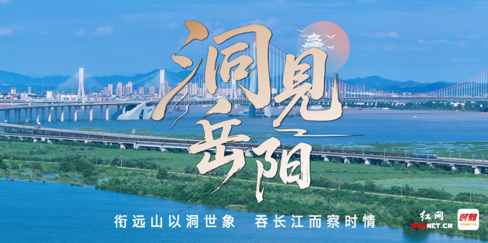 胜负如生死, 政府对球队, 草根高手 胜负如生死, 政府对球队, 草根高手