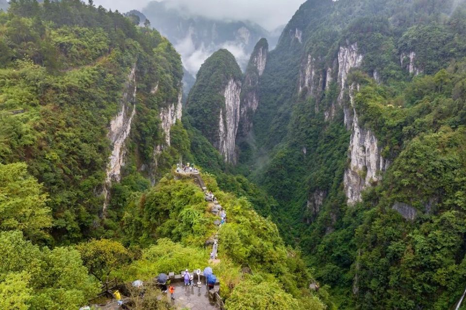 img, https, 这对兄弟也