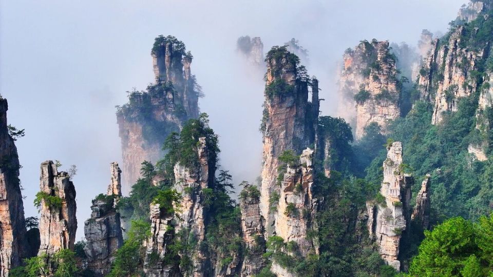 OuTom, wAQyo, 同样的歌谣